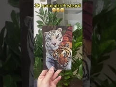 3D линзообразные открытки для музейной галереи