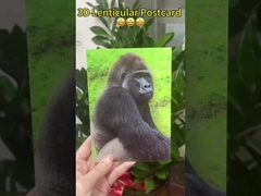 3D-изменение изображений годовщины открытка День рождения Свадебная открытка 3D-печать изображений